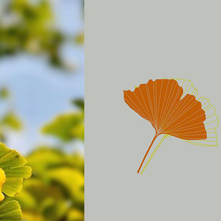 深圳logo設(shè)計(jì)作品案例展示