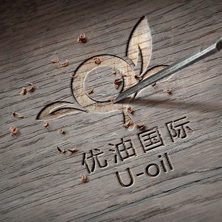 深圳logo設(shè)計(jì)作品案例展示