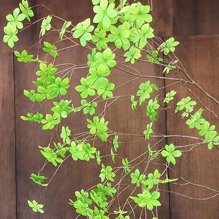 深圳vi設計公司作品案例展示