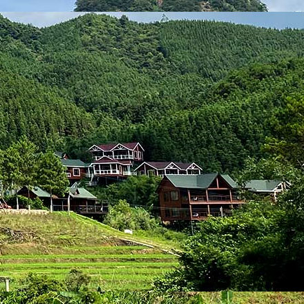 深圳logo設計作品案例展示