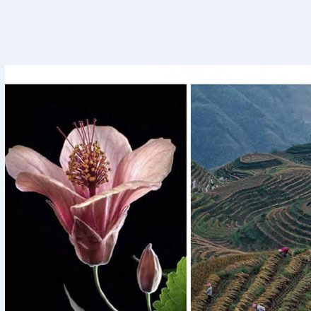 深圳logo設計作品案例展示