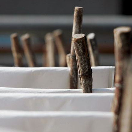 深圳vi設計作品案例展示