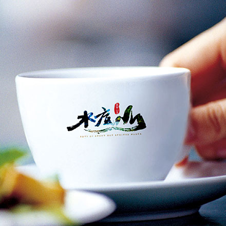 VI公司作品案例展示